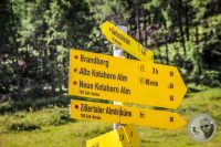 Watermark_24IMG_0677