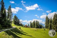 Watermark_31IMG_0685
