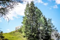 Watermark_32IMG_0686
