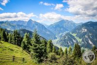 Watermark_34IMG_0688