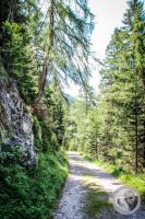 Watermark_37IMG_0691