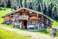 Watermark_41IMG_0697