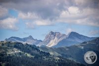Watermark_42IMG_0698