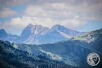 Watermark_43IMG_0699