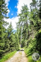 Watermark_45IMG_0701