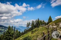 Watermark_47IMG_0703