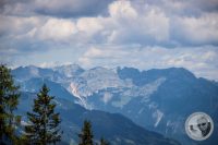 Watermark_48IMG_0704