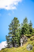 Watermark_50IMG_0706