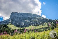Watermark_57IMG_0715
