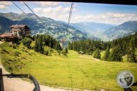 Watermark_62IMG_0722