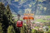 Watermark_71IMG_0731