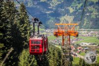 Watermark_72IMG_0732