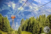 Watermark_7IMG_0656
