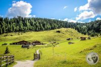 Watermark_9IMG_0659