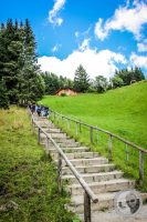 Watermark_25IMG_0735