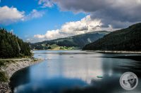Watermark_29IMG_0740
