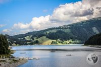 Watermark_30IMG_0741