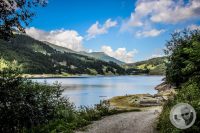 Watermark_32IMG_0748
