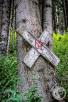 Watermark_34IMG_0750