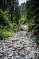 Watermark_36IMG_0752