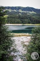 Watermark_37IMG_0753