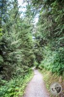 Watermark_38IMG_0754