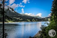 Watermark_41IMG_0758
