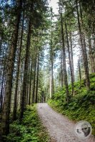 Watermark_42IMG_0759