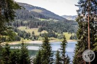 Watermark_43IMG_0760
