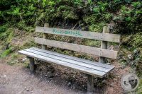 Watermark_44IMG_0761