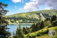 Watermark_46IMG_0763