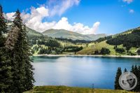 Watermark_48IMG_0765