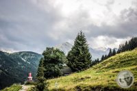 Watermark_49IMG_0766