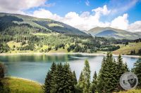 Watermark_51IMG_0768