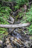 Watermark_67IMG_0775