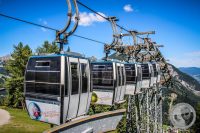 Watermark_18IMG_0796