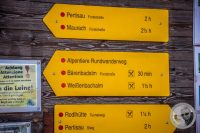 Watermark_23IMG_0801