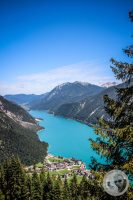 Watermark_28IMG_0806