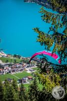 Watermark_33IMG_0811