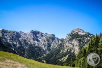 Watermark_39IMG_0816