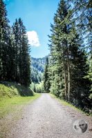 Watermark_45IMG_0823