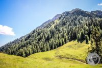 Watermark_46IMG_0824