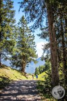 Watermark_47IMG_0825