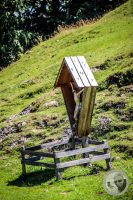 Watermark_49IMG_0827