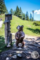 Watermark_53IMG_0830
