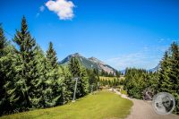 Watermark_55IMG_0833