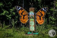 Watermark_57IMG_0835