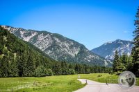 Watermark_74IMG_0853
