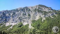 Watermark_84IMG_20260724_143933