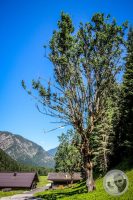 Watermark_90IMG_0870